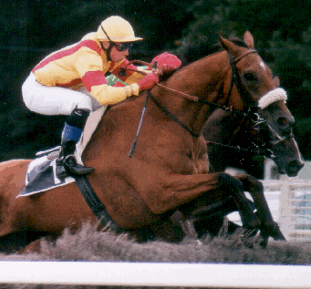 Course de haies